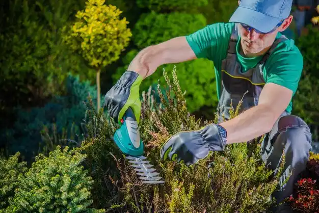 landscaping services Waterproof